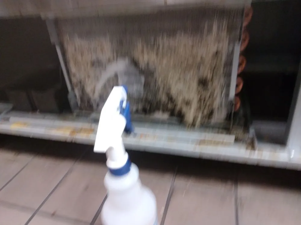 Slide of Nando Services