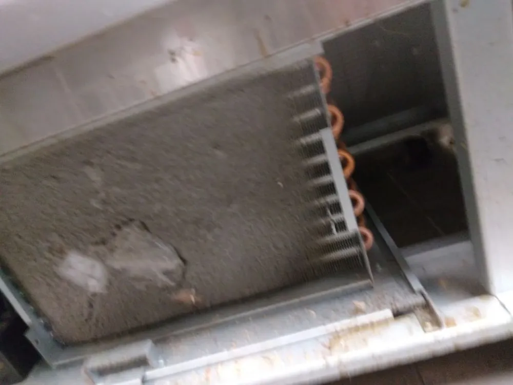 Slide of Nando Services