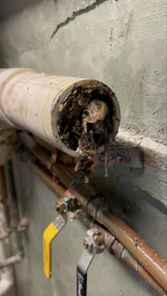 Slide of Nando’s plumbing