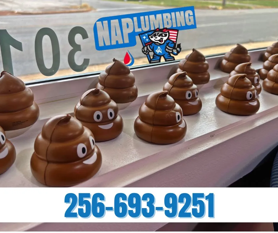Slide of NAP Plumbing