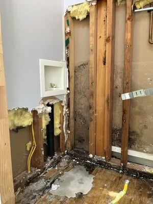 NAPA VALLEY PLUMBING Logo