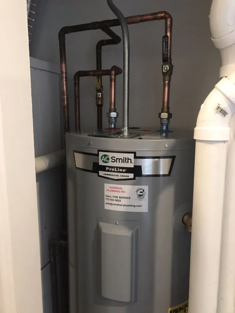 Slide of Narwhal Plumbing