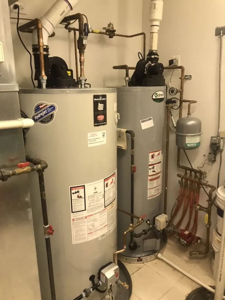 Slide of Narwhal Plumbing