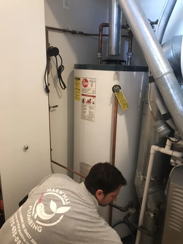 Affordable drain cleaning service in Arlington Heights, IL - Narwhal Plumbing