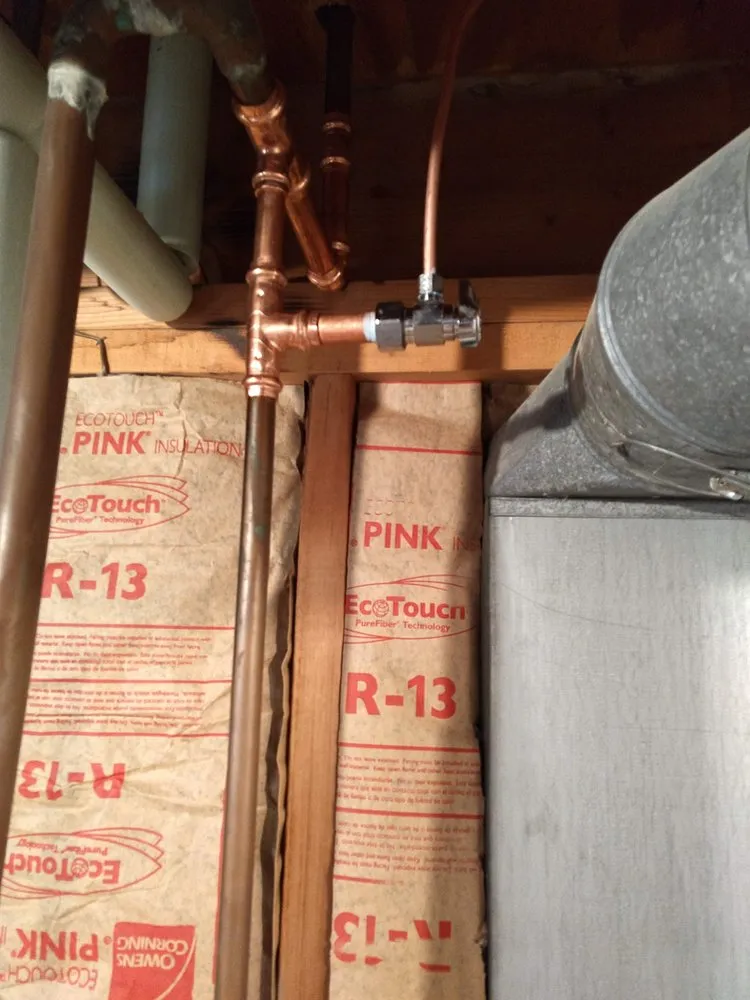 Quality drain cleaning experts serving Arlington Heights, IL - Narwhal Plumbing