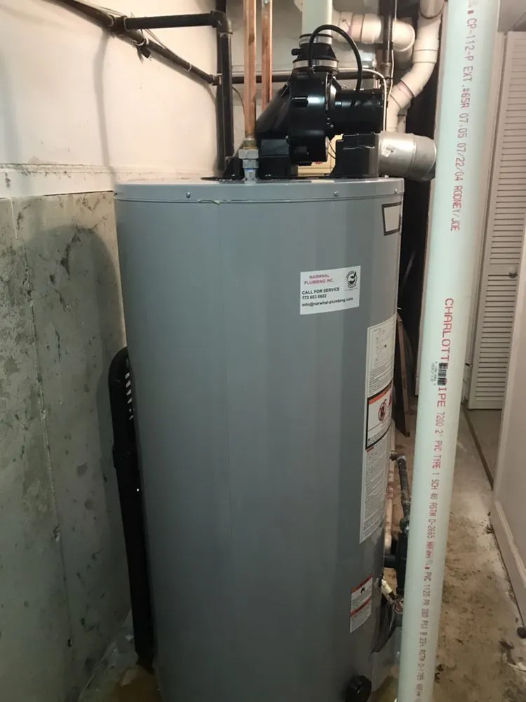 Emergency leak detection experts serving Arlington Heights, IL - Narwhal Plumbing