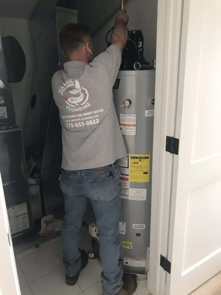 Top-rated plumbing repair in Arlington Heights, IL by Narwhal Plumbing