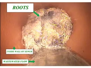 Slide of N.A.S Rooter & Hydro-Jetting Services