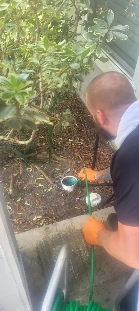 Slide of Nassau Rooter