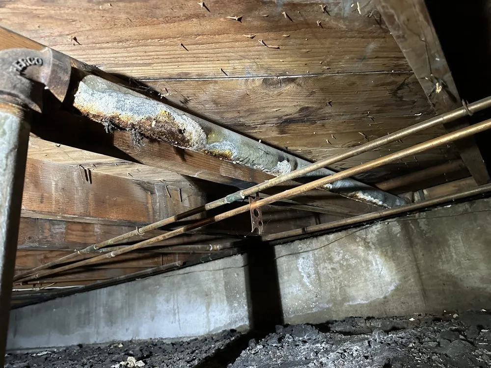 Slide of Natan Plumbing