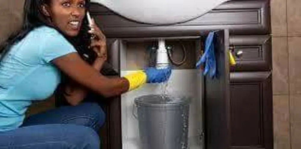 Slide of Nate The Snake