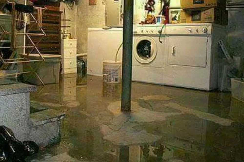 Slide of Nate The Snake