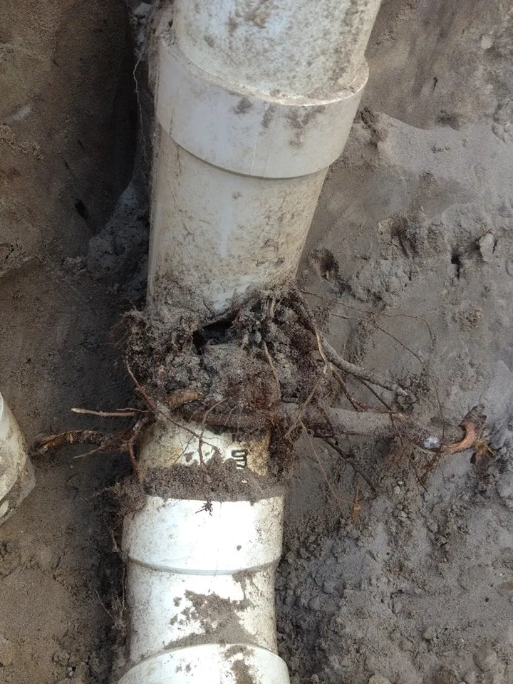 Slide of Nate's Plumbing