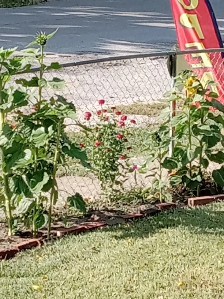 Slide of Nathan's Family Maintenance & Construction