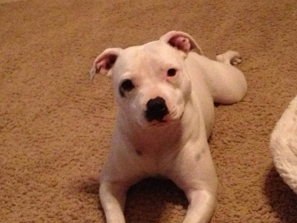 Slide of Nathan's Plumbing