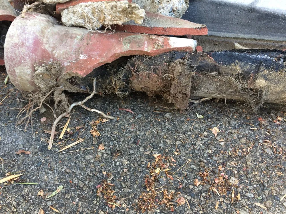 Slide of National Plumbing & Rooter