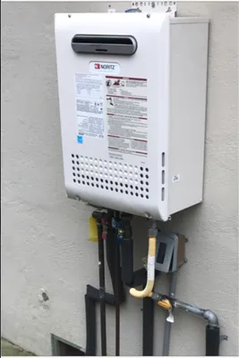 National Rooter Logo