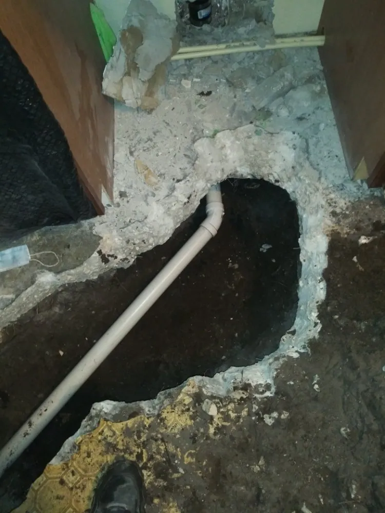 Slide of Native Plumbing