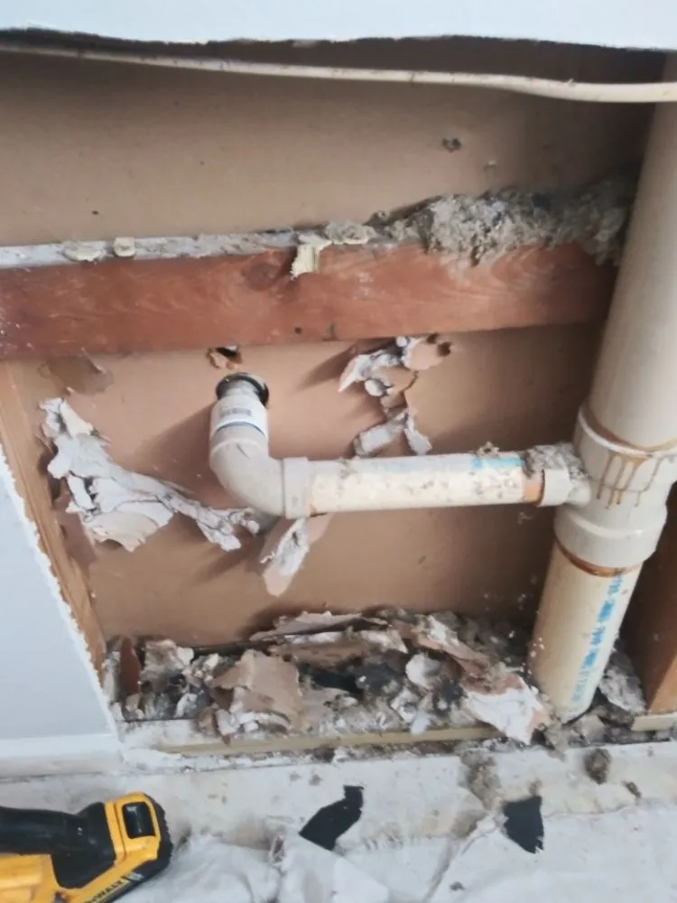 Slide of Native Plumbing