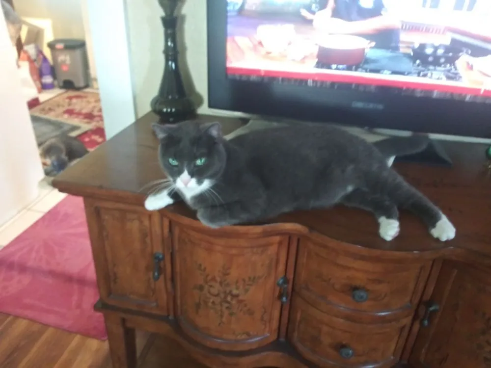 Slide of Native Plumbing