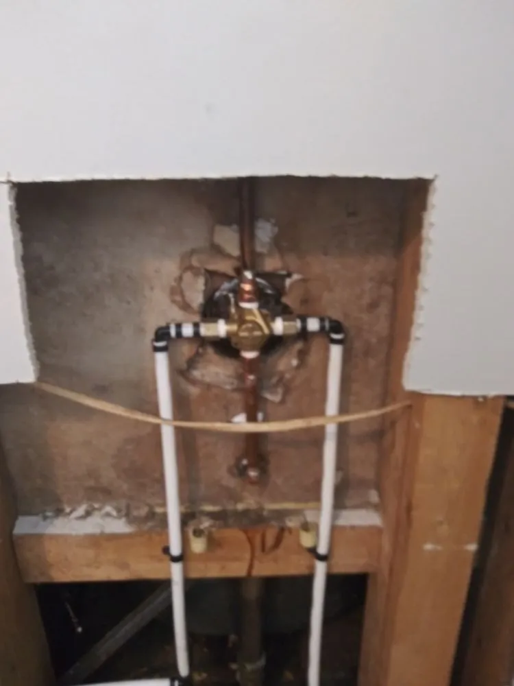 Slide of Native Plumbing