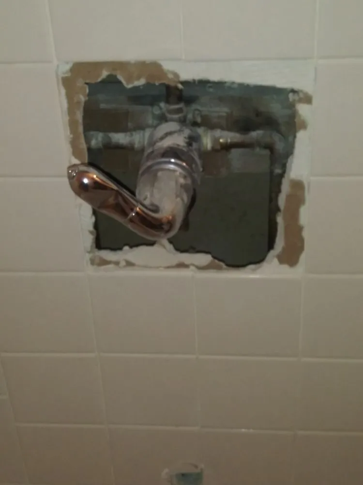 Slide of Native Plumbing