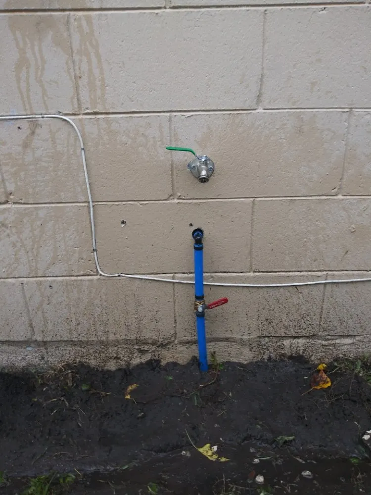 Slide of Native Plumbing