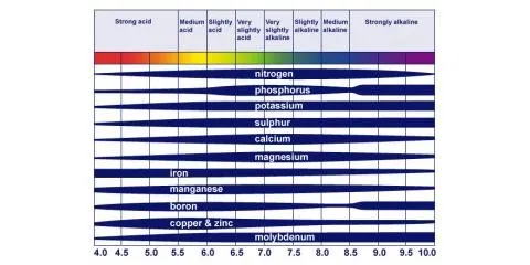 Trusted emergency plumbing for homes in Cincinnati, OH by Nature Plus Lawn & Irragation