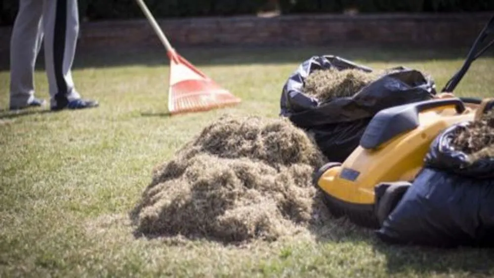 Slide of Nature Plus Lawn & Irragation