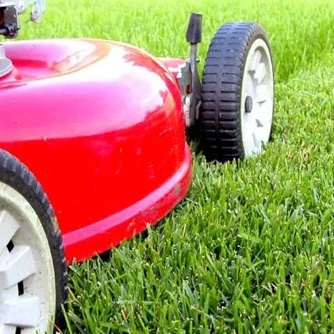 Slide of Nature Plus Lawn & Irragation