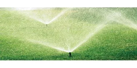 Slide of Nature Plus Lawn & Irragation