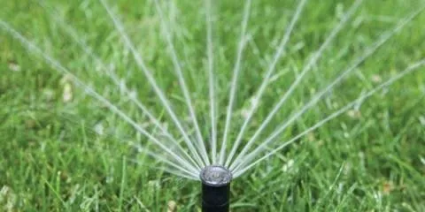 Slide of Nature Plus Lawn & Irragation