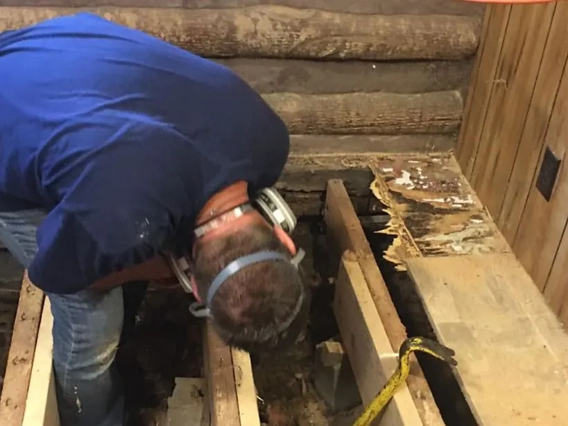 Professional pipe repair experts serving Ellijay, NC - Nature Tamers of North Carolina