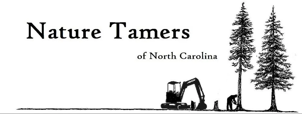 Expert water heater service in Ellijay, NC by Nature Tamers of North Carolina