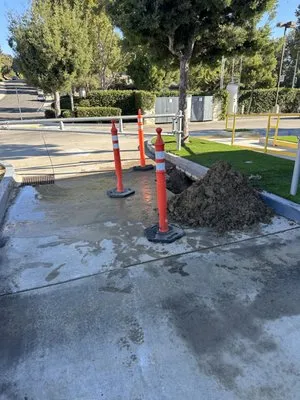 Nature's Gold Plumbing Logo