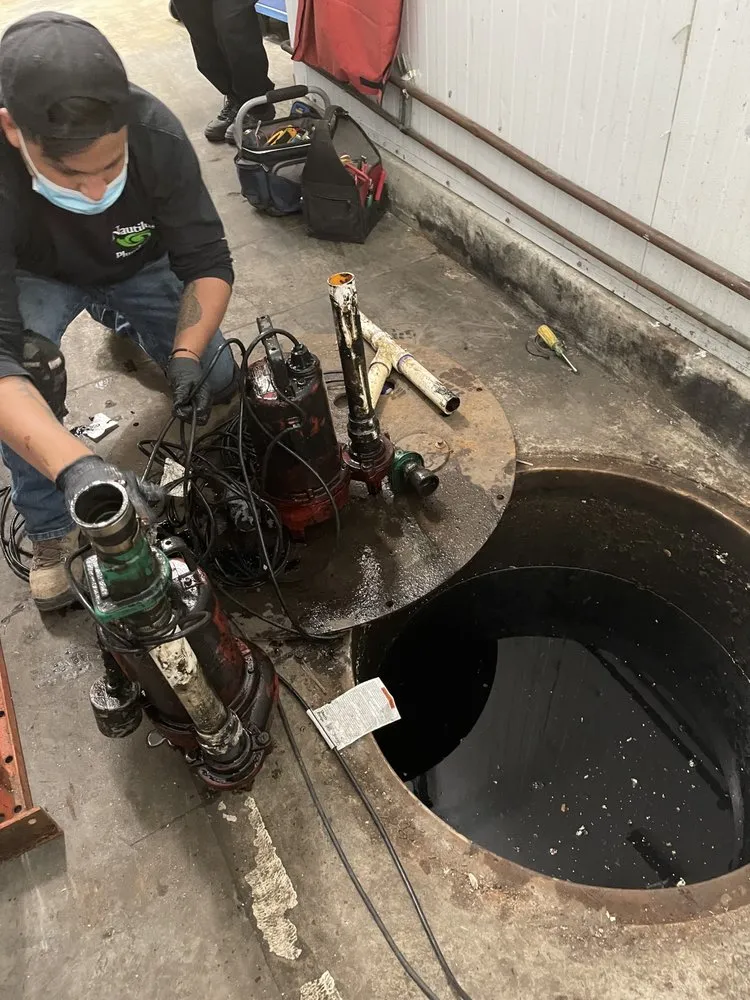 Slide of Nautilus Plumbing