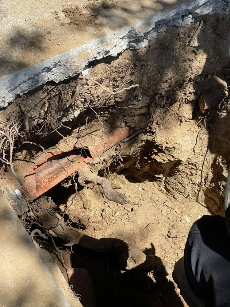 Slide of Nautilus Plumbing