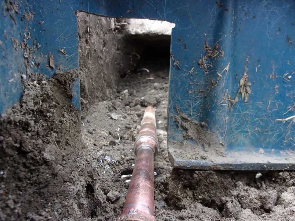 Slide of Nautilus Plumbing