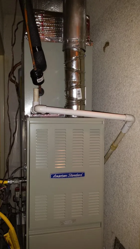 Slide of Navarro plumbing