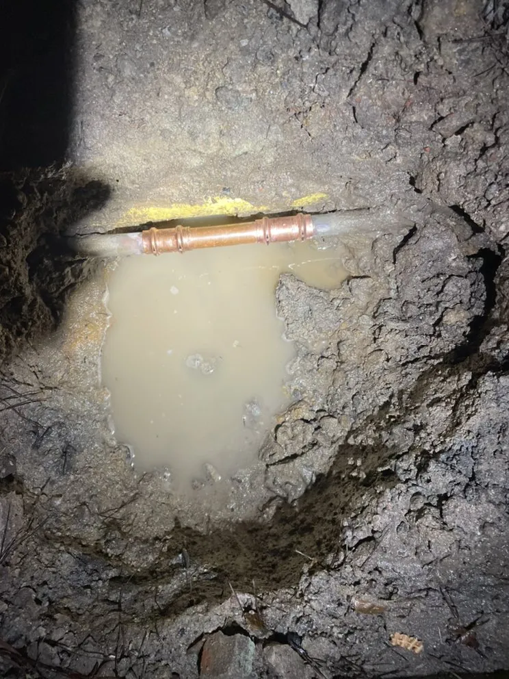 Slide of Navarro's Service