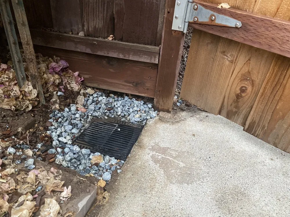 Slide of Navarro's Service