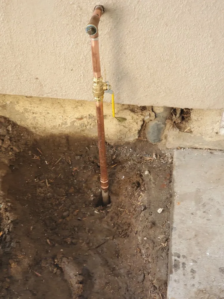 Slide of Navarro's Service