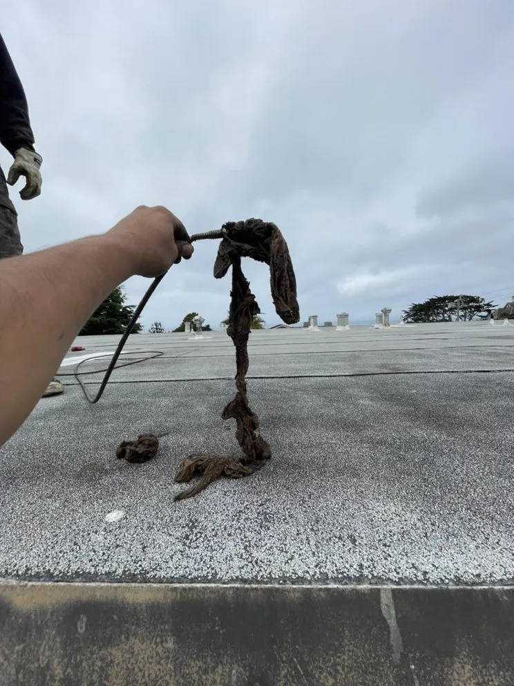 Slide of Navarro's Service