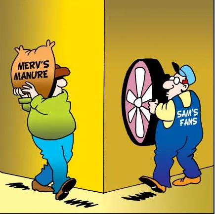 Slide of Navo & Sons