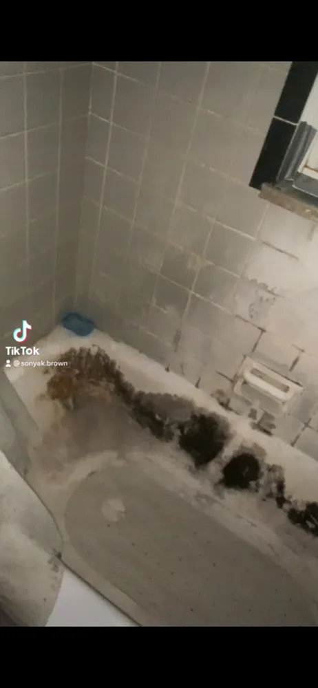 Slide of Naz Home Improvement