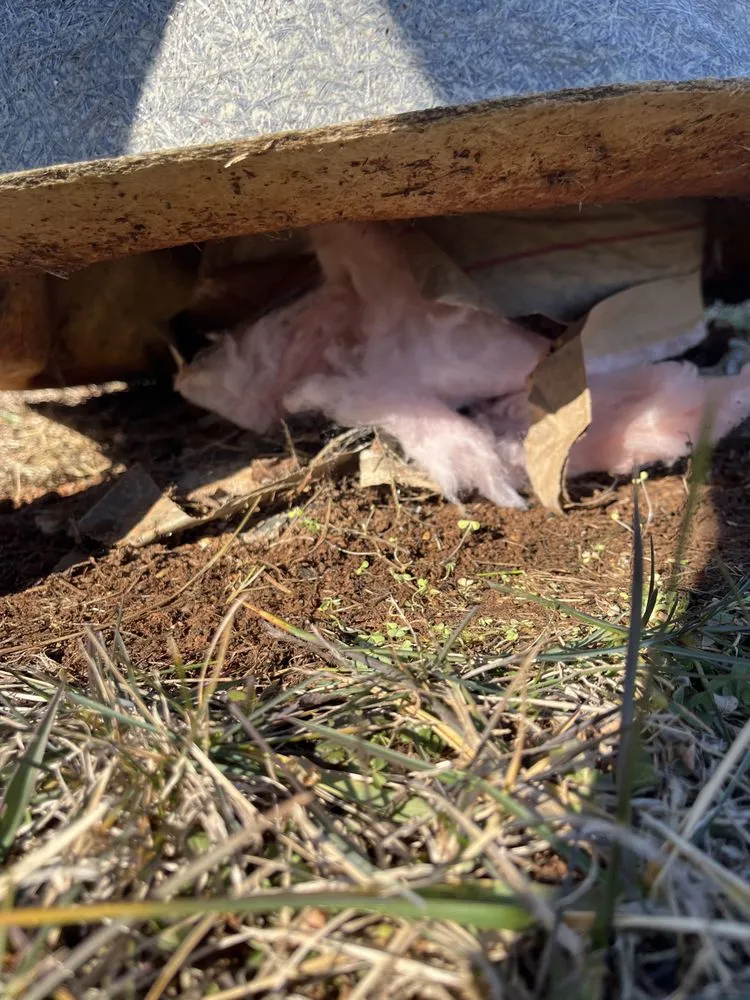 Slide of NC Pump Crew