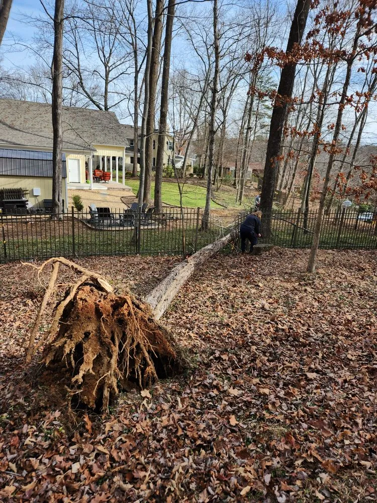 Slide of Neal Enterprises