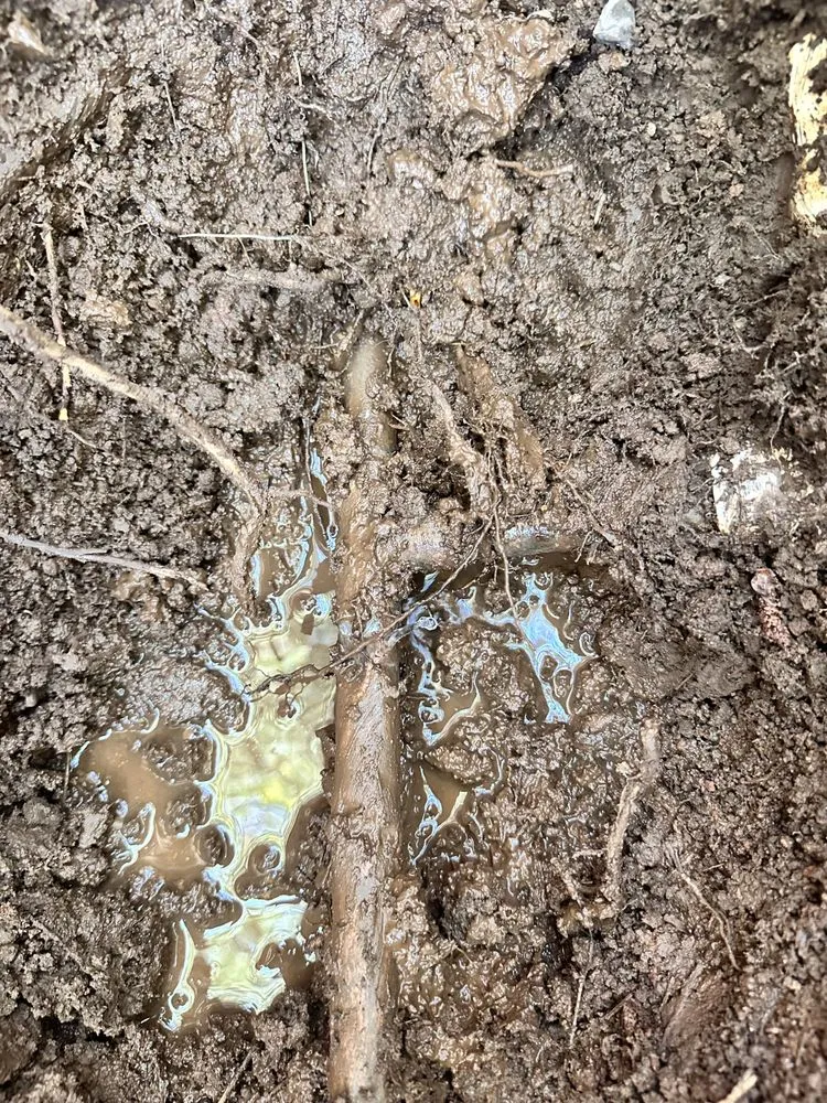 Slide of Neese and Sons Plumbing