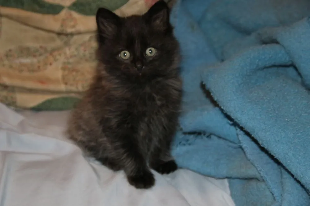 Slide of Neighborhood Plumbing