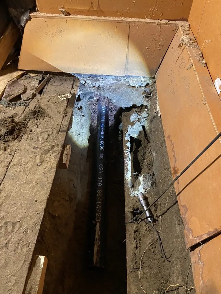 Top-rated drain cleaning service in San Francisco, CA - Neighborhood Plumbing